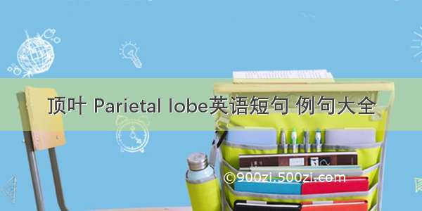 顶叶 Parietal lobe英语短句 例句大全