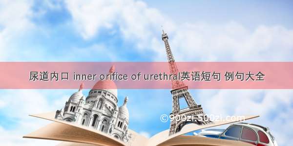 尿道内口 inner orifice of urethral英语短句 例句大全