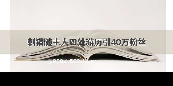 刺猬随主人四处游历引40万粉丝