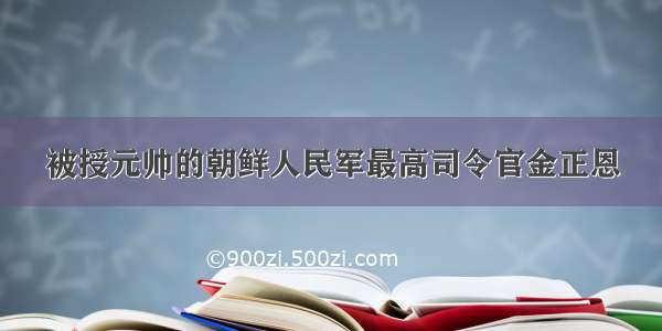 被授元帅的朝鲜人民军最高司令官金正恩