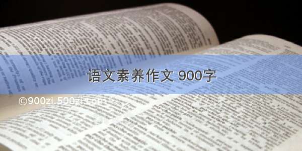 语文素养作文 900字