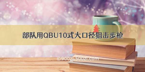 部队用QBU10式大口径狙击步枪