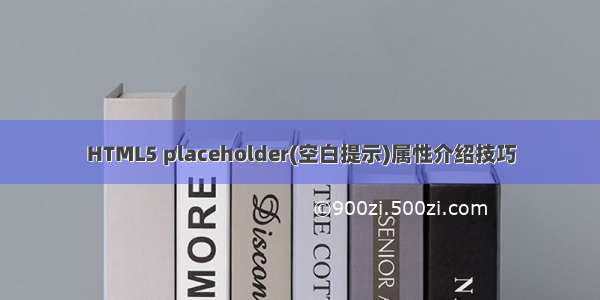 HTML5 placeholder(空白提示)属性介绍技巧