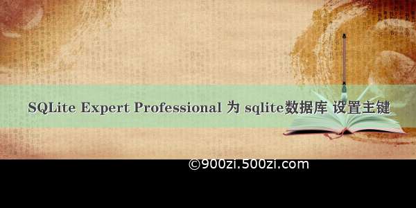 SQLite Expert Professional 为 sqlite数据库 设置主键