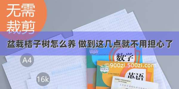 盆栽桔子树怎么养 做到这几点就不用担心了