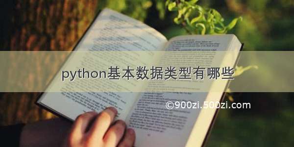 python基本数据类型有哪些