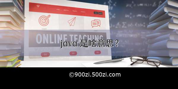 java 是啥意思？