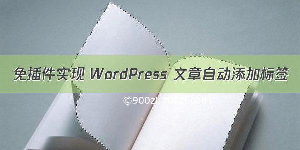 免插件实现 WordPress 文章自动添加标签