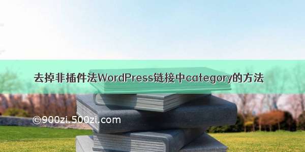 去掉非插件法WordPress链接中category的方法