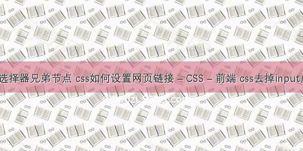 css选择器兄弟节点 css如何设置网页链接 – CSS – 前端 css去掉input虚框