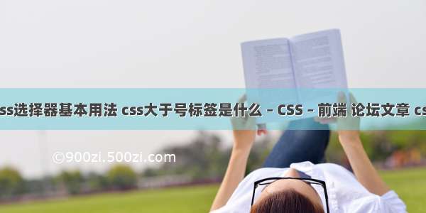 css选择器基本用法 css大于号标签是什么 – CSS – 前端 论坛文章 css