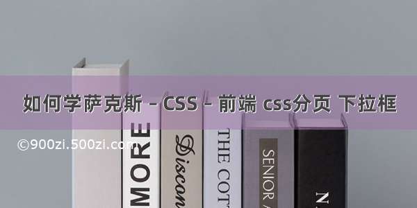 如何学萨克斯 – CSS – 前端 css分页 下拉框