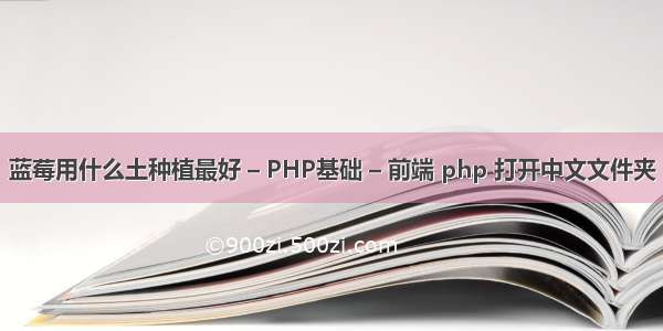 蓝莓用什么土种植最好 – PHP基础 – 前端 php 打开中文文件夹