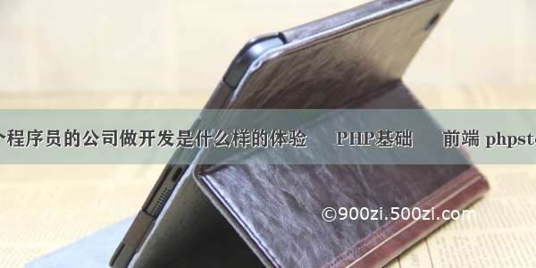 在只有一个程序员的公司做开发是什么样的体验 – PHP基础 – 前端 phpstorm运行慢