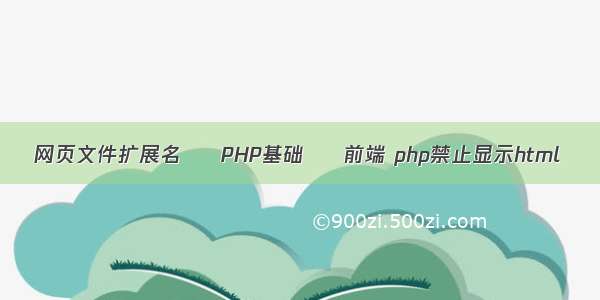 网页文件扩展名 – PHP基础 – 前端 php禁止显示html