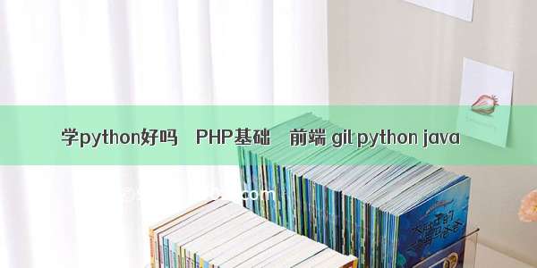 学python好吗 – PHP基础 – 前端 gil python java