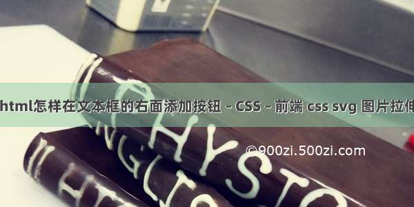 html怎样在文本框的右面添加按钮 – CSS – 前端 css svg 图片拉伸