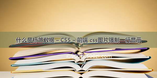 什么是标签数据 – CSS – 前端 css图片强制一行显示