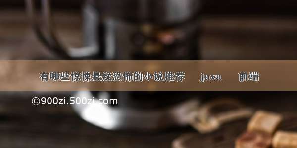 有哪些惊悚悬疑恐怖的小说推荐 – java – 前端