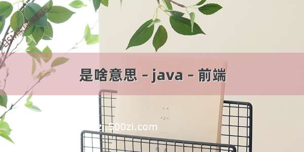 是啥意思 – java – 前端