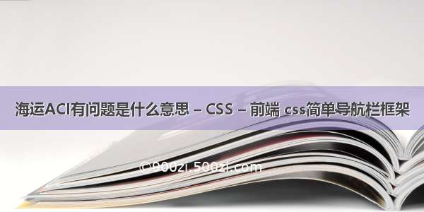 海运ACI有问题是什么意思 – CSS – 前端 css简单导航栏框架