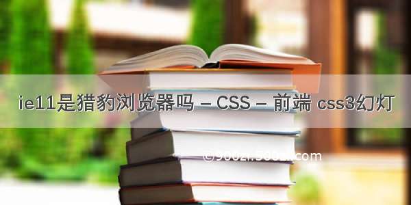 ie11是猎豹浏览器吗 – CSS – 前端 css3幻灯