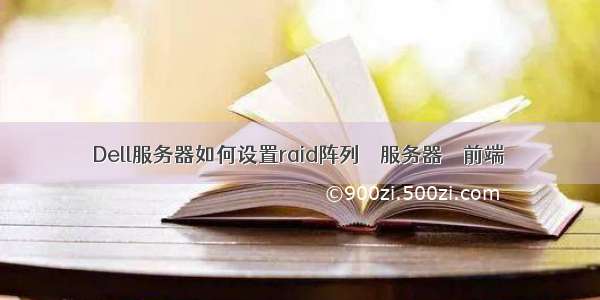 Dell服务器如何设置raid阵列 – 服务器 – 前端