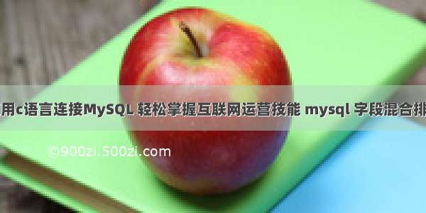 使用c语言连接MySQL 轻松掌握互联网运营技能 mysql 字段混合排序