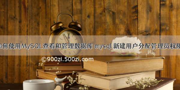 如何使用MySQL查看和管理数据库 mysql 新建用户分配管理员权限