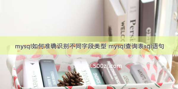 mysql如何准确识别不同字段类型 mysql查询表sql语句