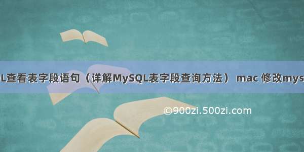 MySQL查看表字段语句（详解MySQL表字段查询方法） mac 修改mysql编码