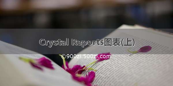 Crystal Reports图表(上)
