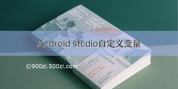 Android studio自定义变量