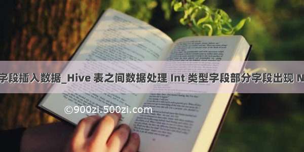 hive 指定字段插入数据_Hive 表之间数据处理 Int 类型字段部分字段出现 NULL情况...