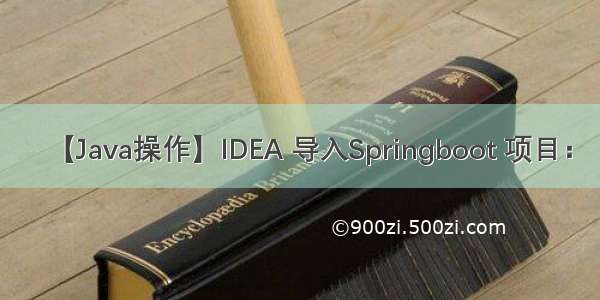 【Java操作】IDEA 导入Springboot 项目：
