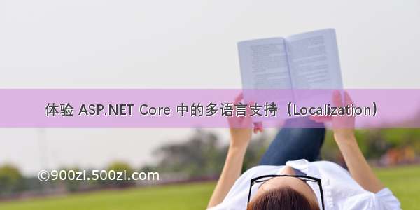 体验 ASP.NET Core 中的多语言支持（Localization）