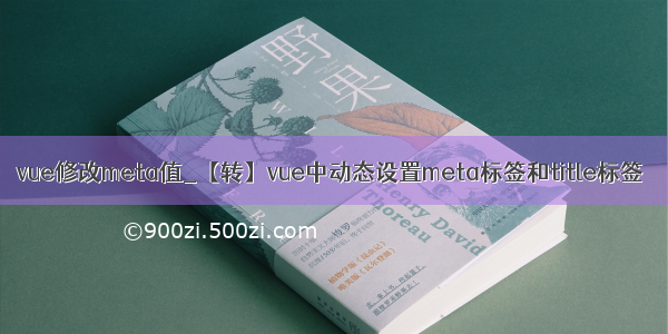 vue修改meta值_【转】vue中动态设置meta标签和title标签