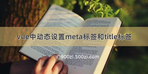 vue中动态设置meta标签和title标签