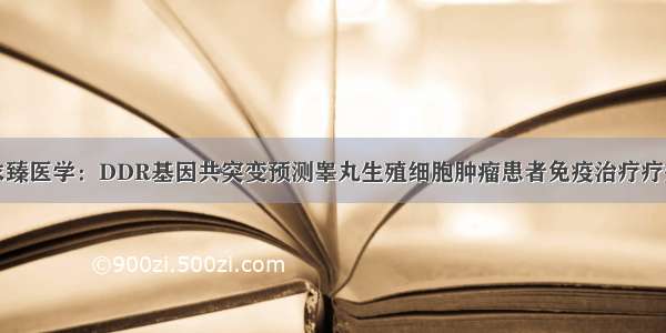 求臻医学：DDR基因共突变预测睾丸生殖细胞肿瘤患者免疫治疗疗效