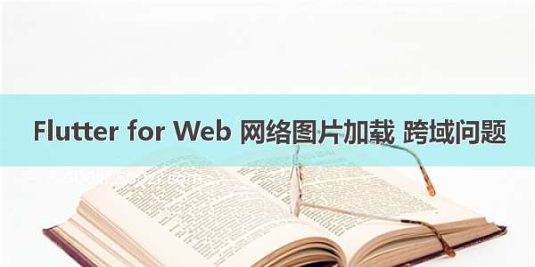 Flutter for Web 网络图片加载 跨域问题