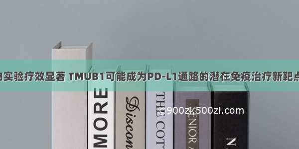 鹰谷靶点 | 动物实验疗效显著 TMUB1可能成为PD-L1通路的潜在免疫治疗新靶点 | Nature子刊