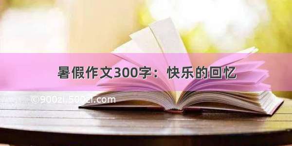 暑假作文300字：快乐的回忆