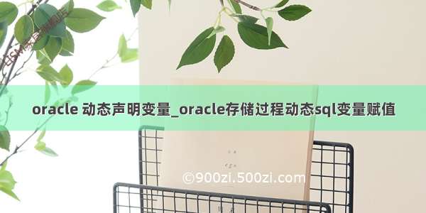 oracle 动态声明变量_oracle存储过程动态sql变量赋值