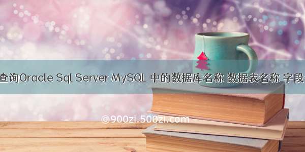 如何查询Oracle Sql Server MySQL 中的数据库名称 数据表名称 字段名称