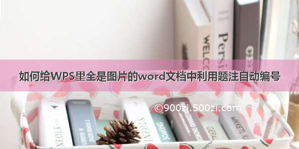 如何给WPS里全是图片的word文档中利用题注自动编号