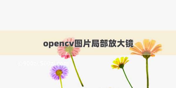 opencv图片局部放大镜