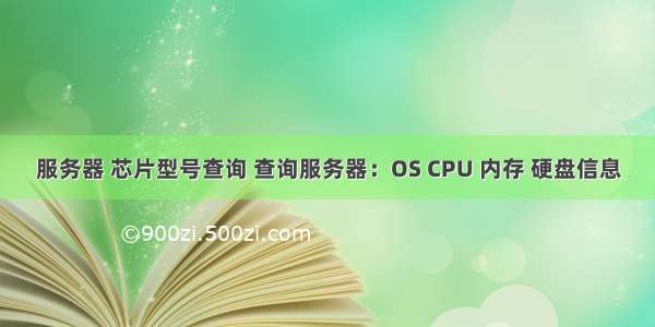 服务器 芯片型号查询 查询服务器：OS CPU 内存 硬盘信息