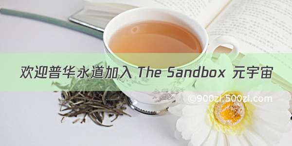 欢迎普华永道加入 The Sandbox 元宇宙