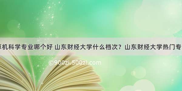 山财计算机科学专业哪个好 山东财经大学什么档次？山东财经大学热门专业排名...