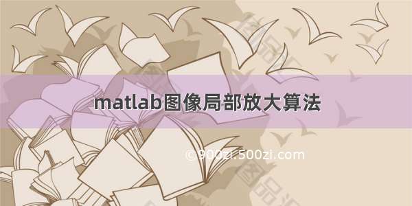 matlab图像局部放大算法